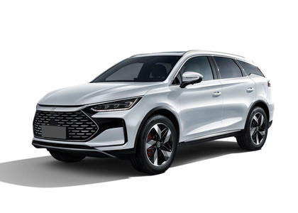 EVA коврики на BYD Tang EV 2018 - 2025 в Мурманске