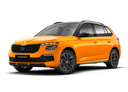 Коврики на Skoda Kamiq (Европа) 2019&nbsp;-&nbsp;2026 в Мурманске