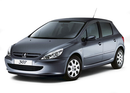 Коврики на Peugeot 307 2001 - 2008 в Мурманске