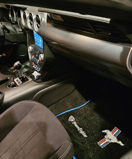 Ворсовые коврики на Ford Mustang VI 2013 - 2023 в Мурманске Ворсовые коврики на Ford Mustang VI 2013 - 2023 в Мурманске