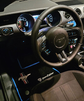 Ворсовые коврики на Ford Mustang VI 2013 - 2023 в Мурманске Ворсовые коврики на Ford Mustang VI 2013 - 2023 в Мурманске